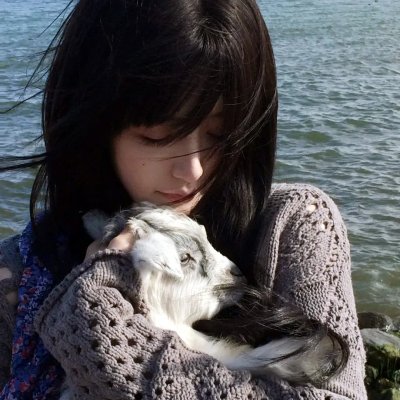 都是戴茜惹的祸